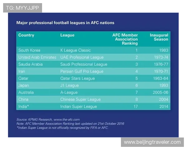 体育职业联赛排名（体育联赛收入排名）sports